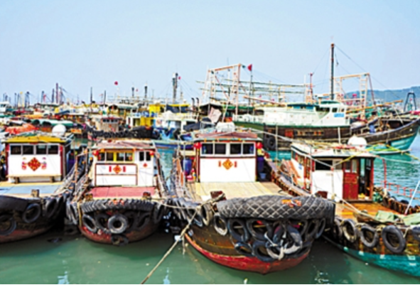 漁港環(huán)境.png 漁港環(huán)境.png